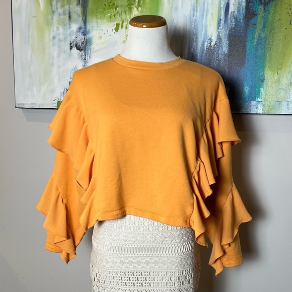 Zara Ruffle Sleeve Top - Picture 2 of 5